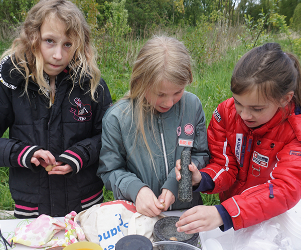 Allemaal eten uit de natuur