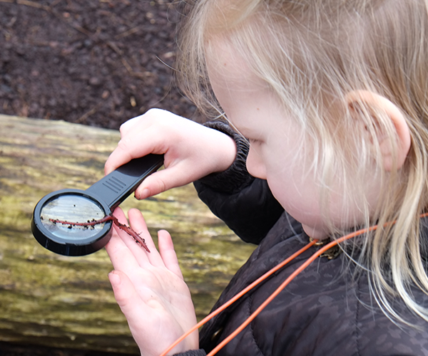 Kleine beestjes zoeken op het schoolplein